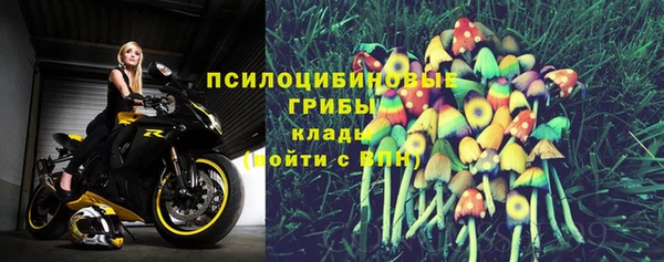 стафф Алексеевка