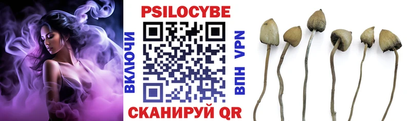 Галлюциногенные грибы прущие грибы  Купить закладки  Тайшет 