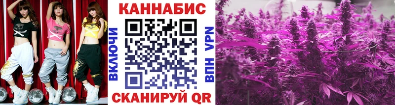 Купить закладки  Тайшет  Бошки марихуана план 